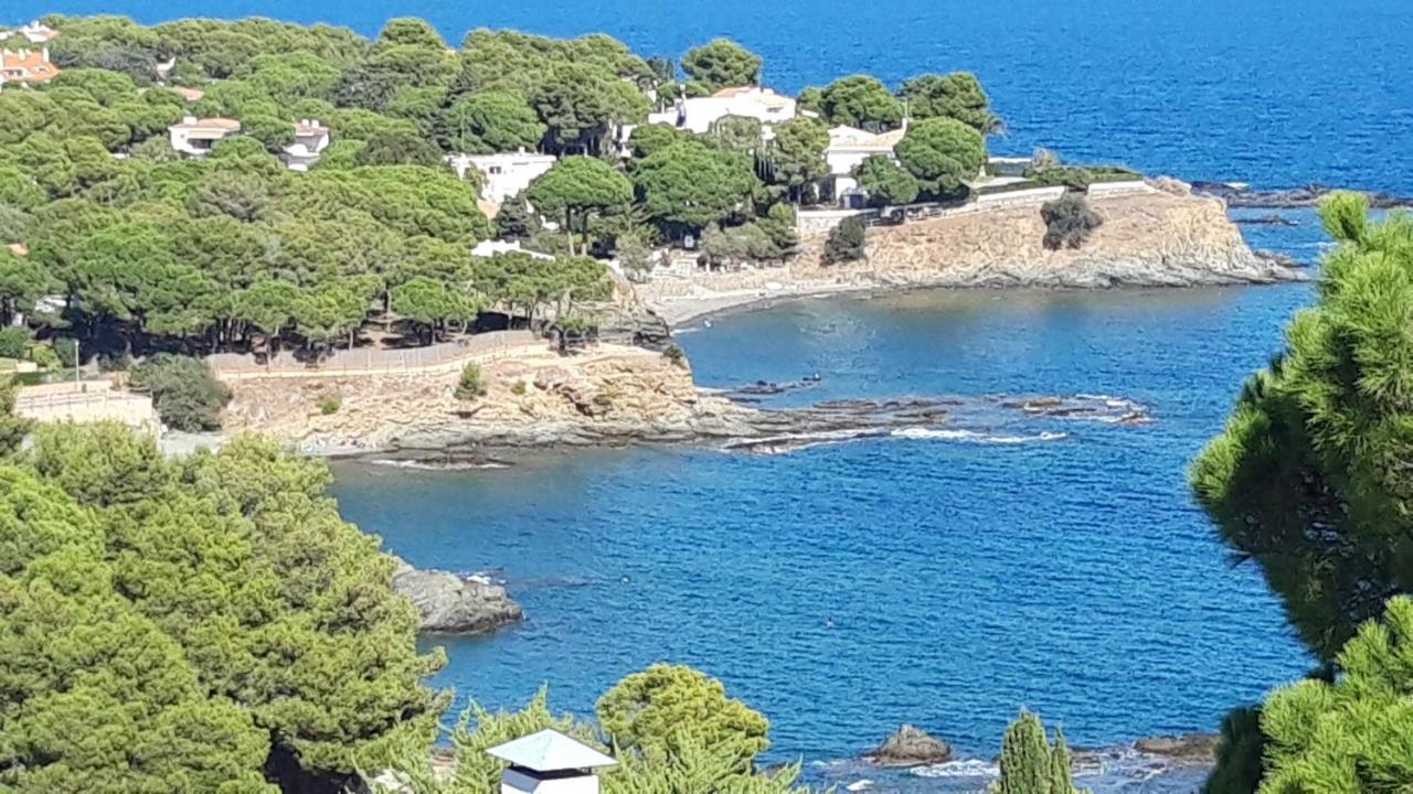 Apartmán L'Armonia Entre La Farella I Cau Del Llop Llança Exteriér fotografie