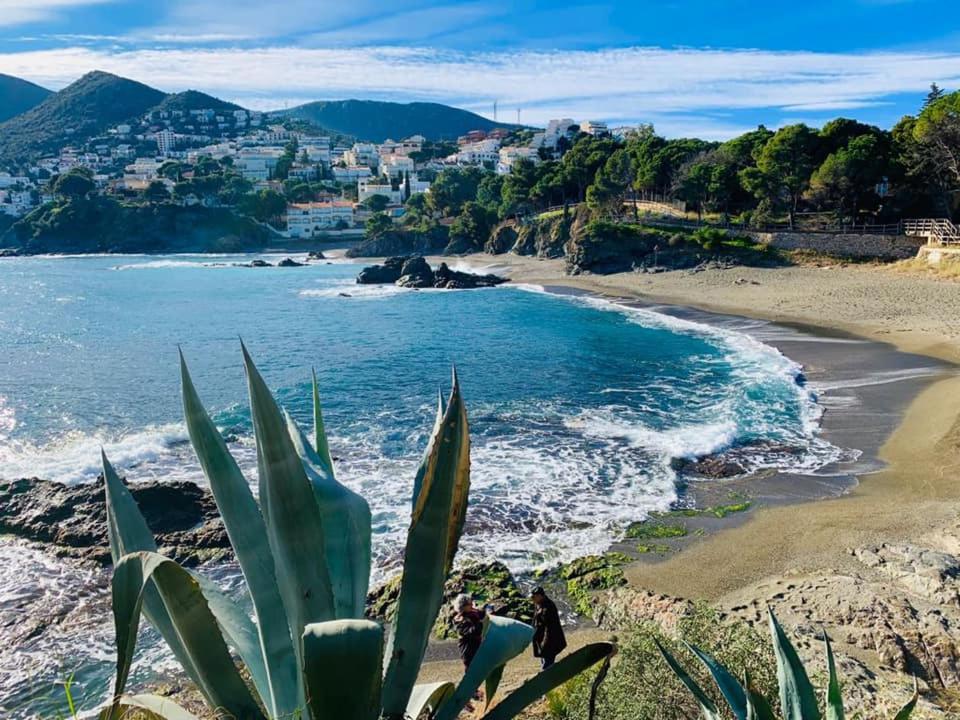 Apartmán L'Armonia Entre La Farella I Cau Del Llop Llança Exteriér fotografie
